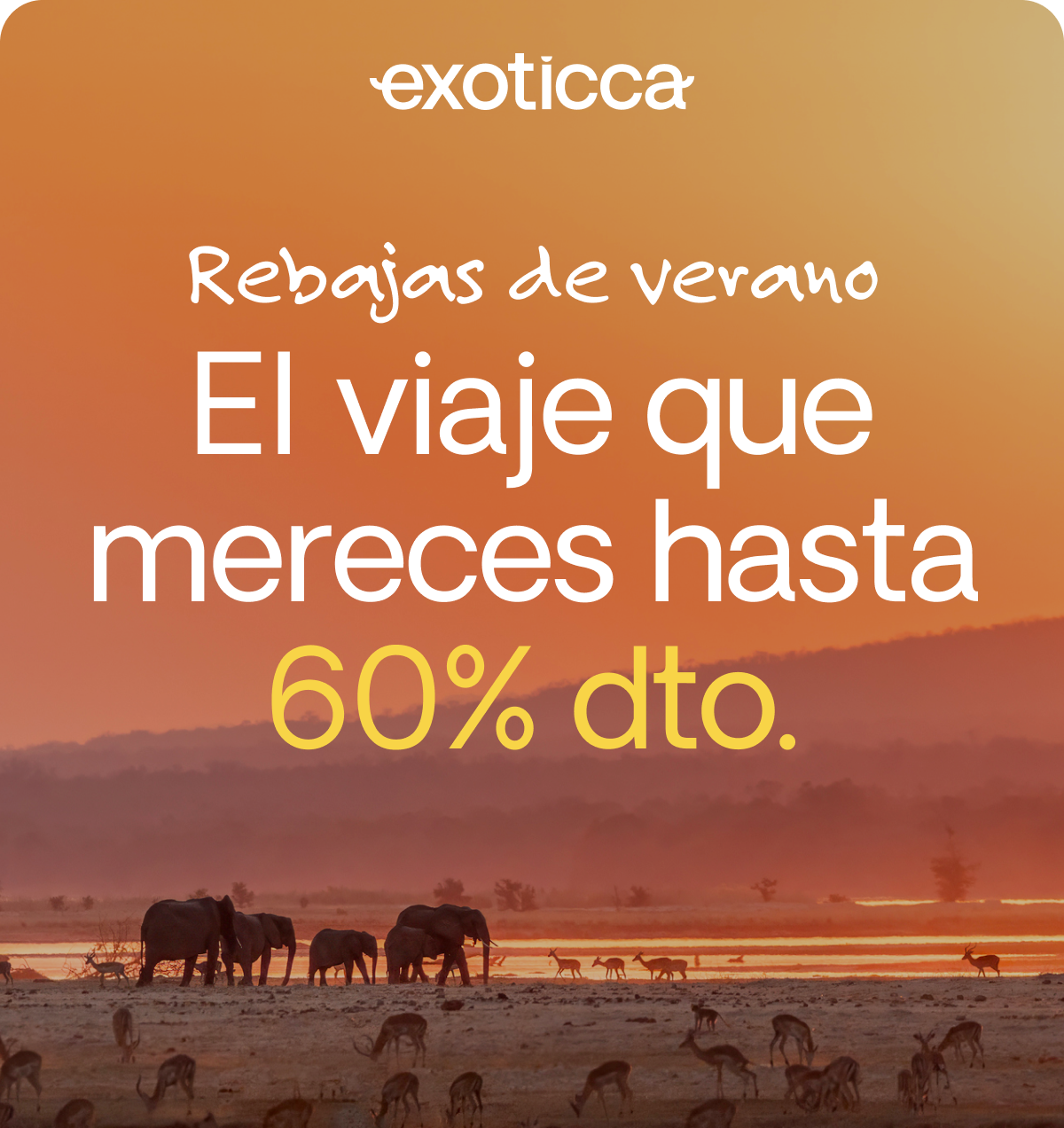 Summer Sale
