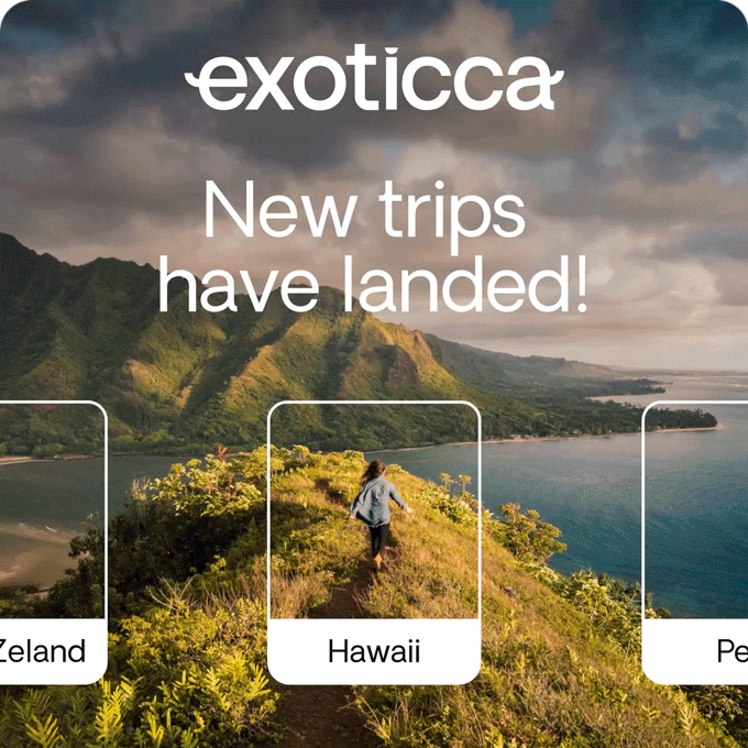 New Trips
