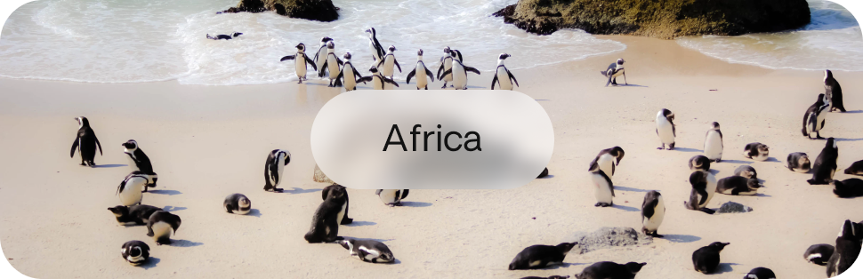 Africa