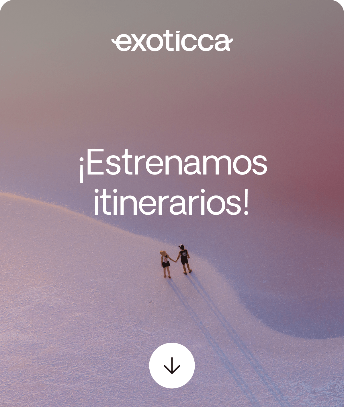 Nuevos productos