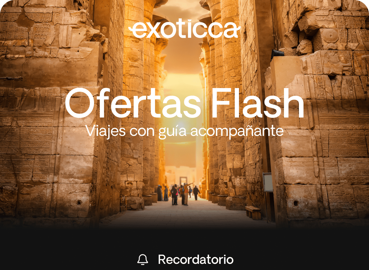 Flash Sale
