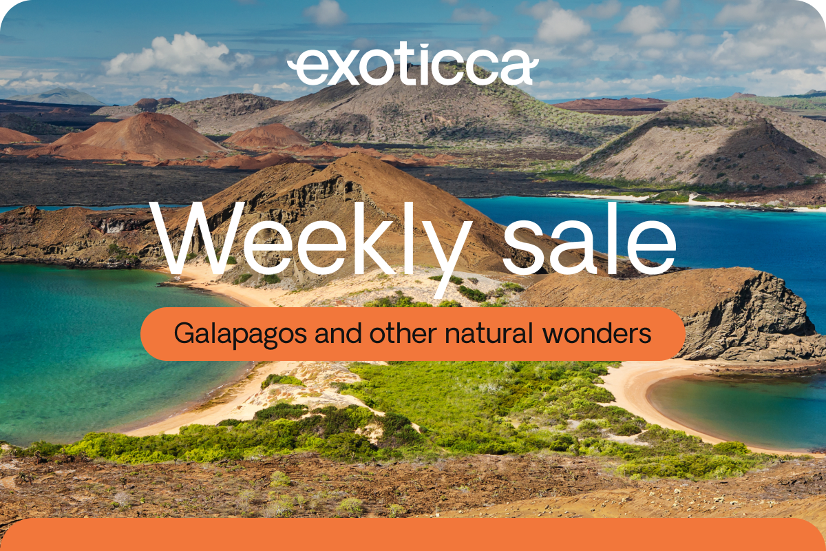 Weekly Sale