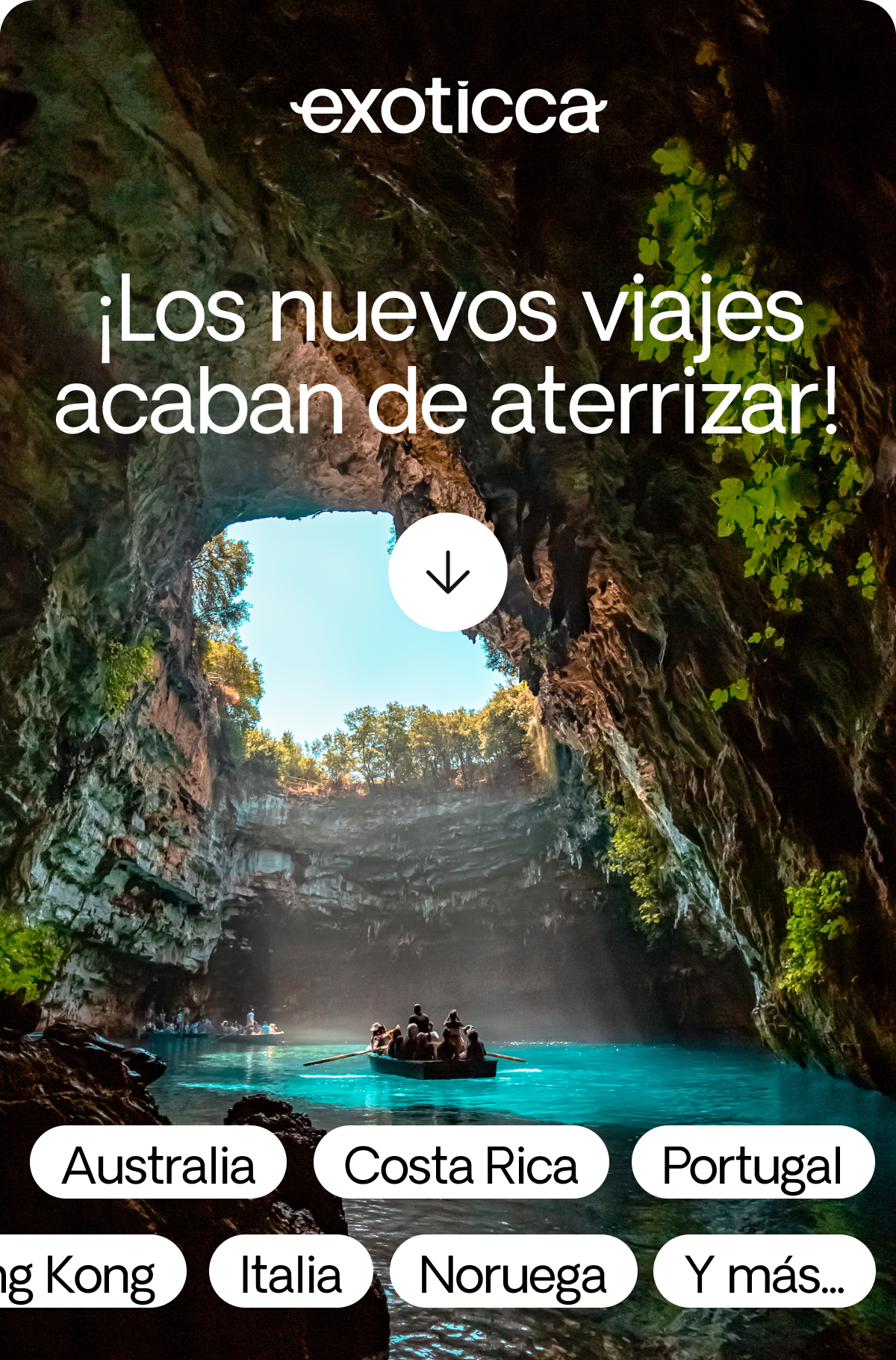 Nuevos productos