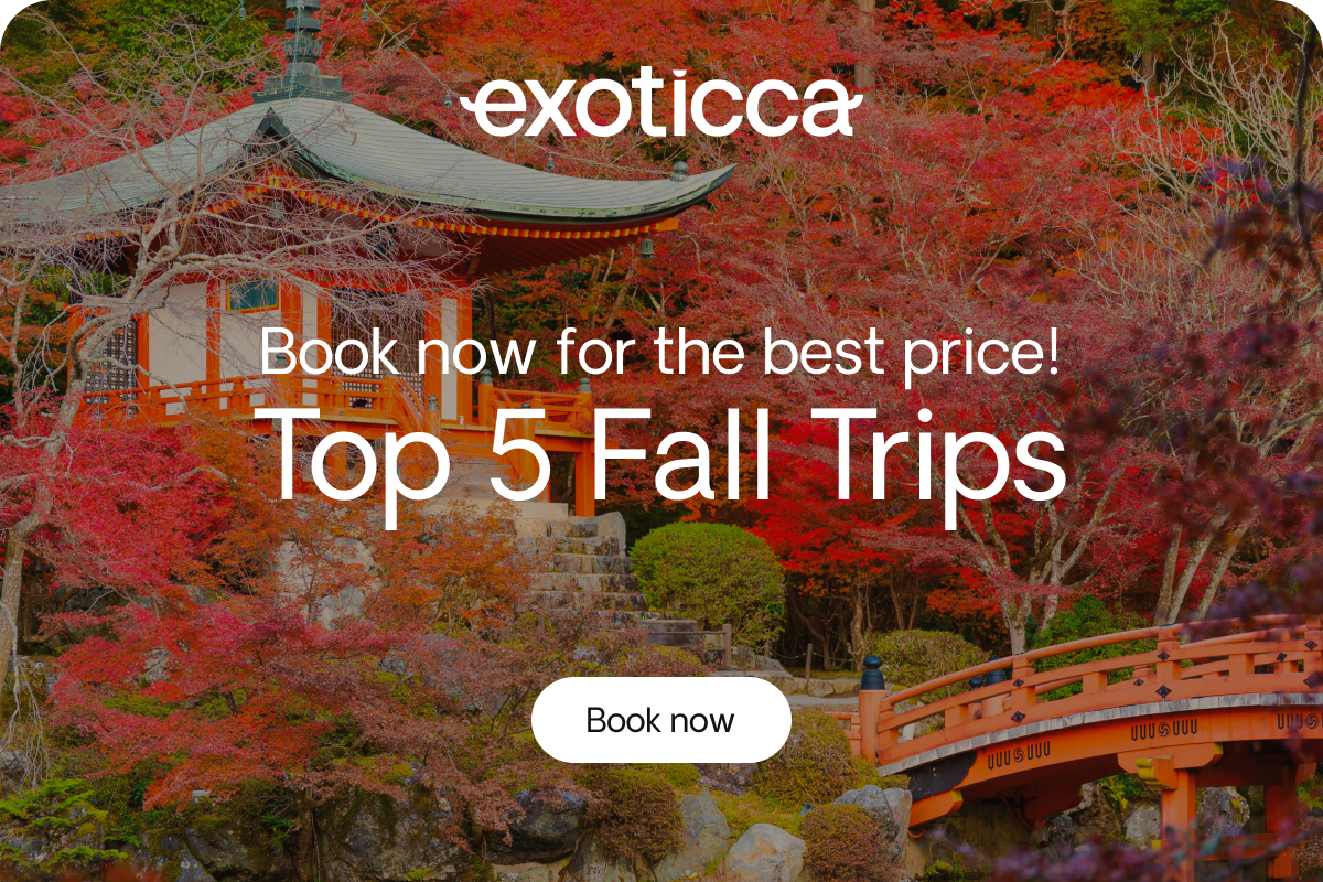Fall Trips