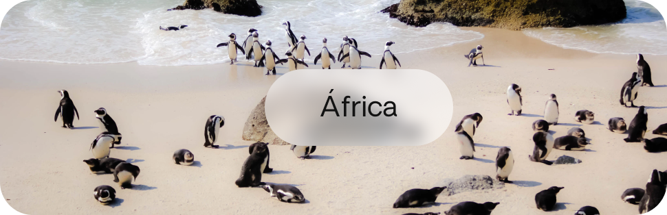 Africa