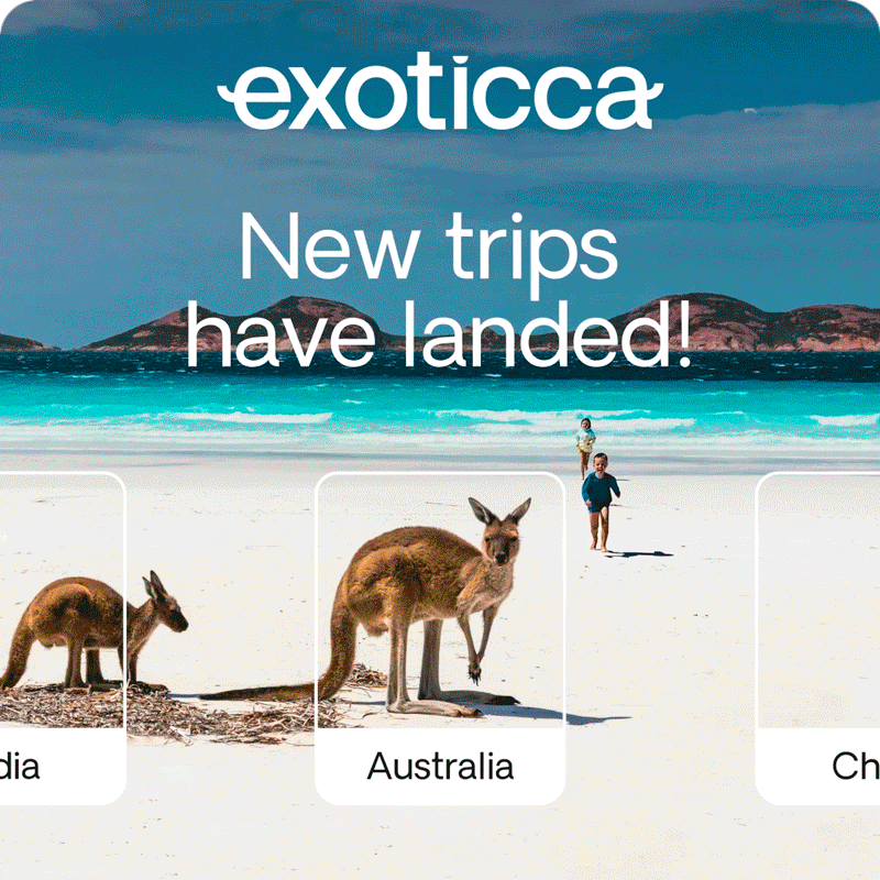 New Trips