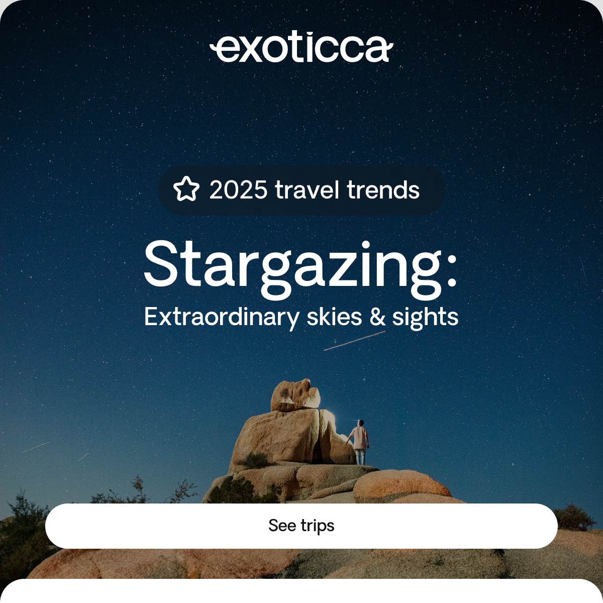 Travel Trends