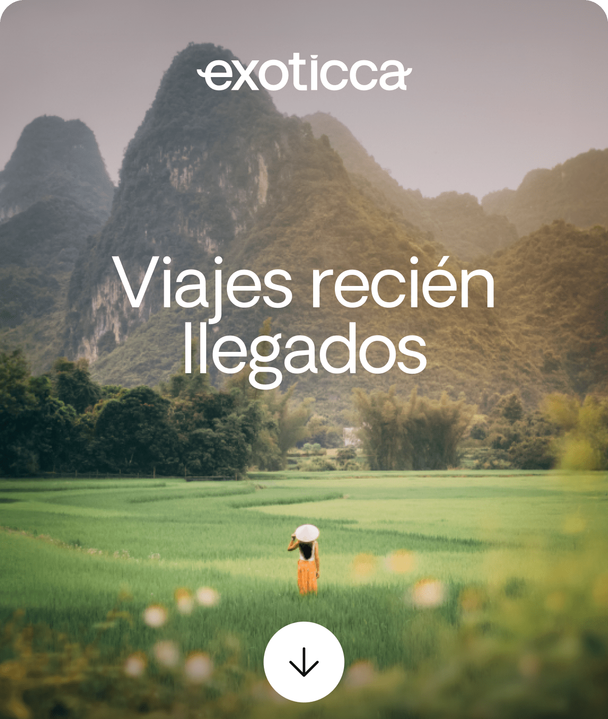 Nuevos productos