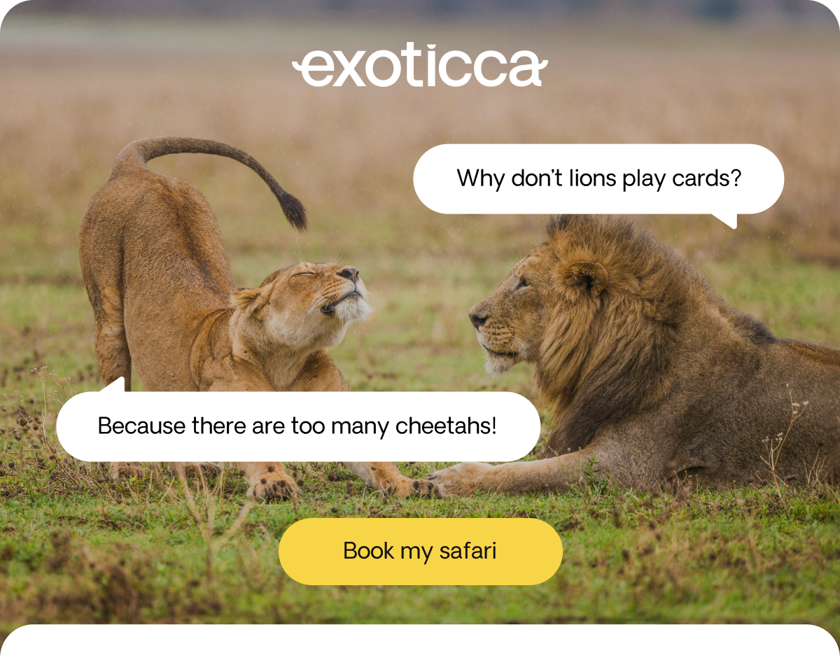 Safaris