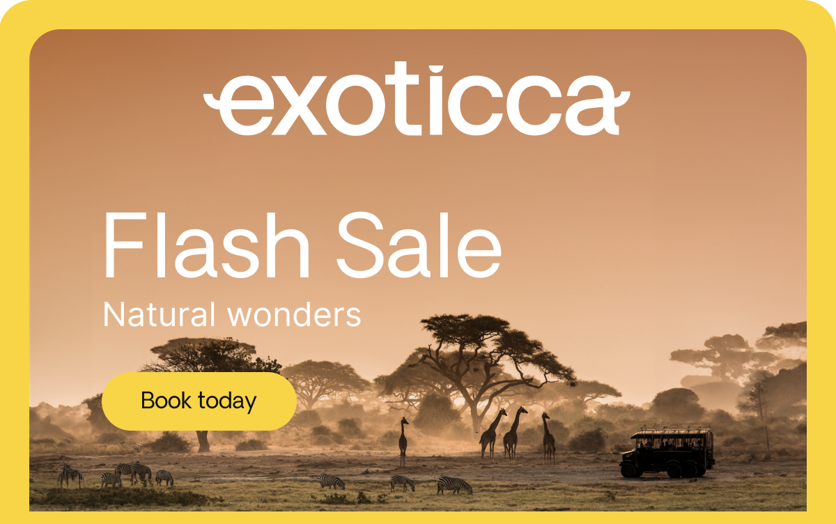 FLASH SALE