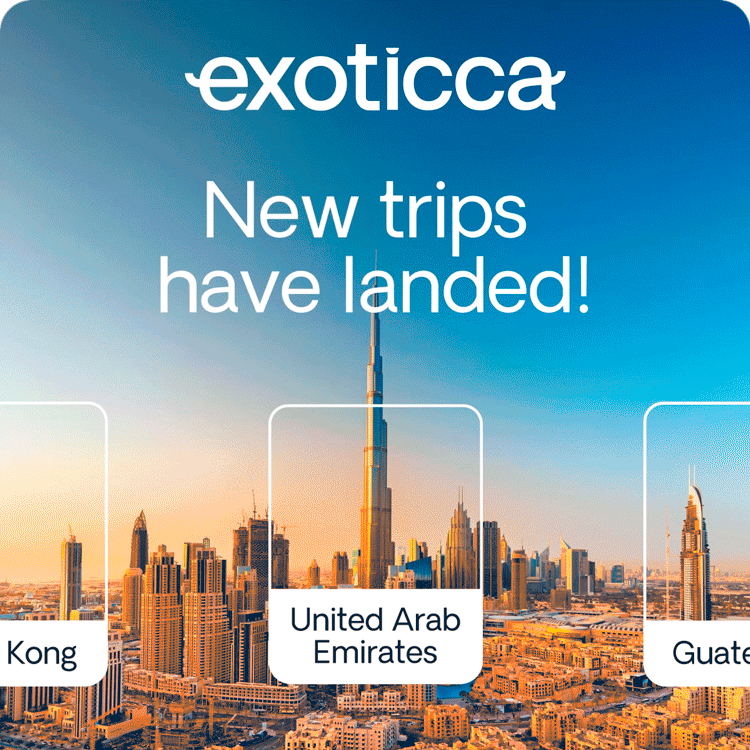 New Trips