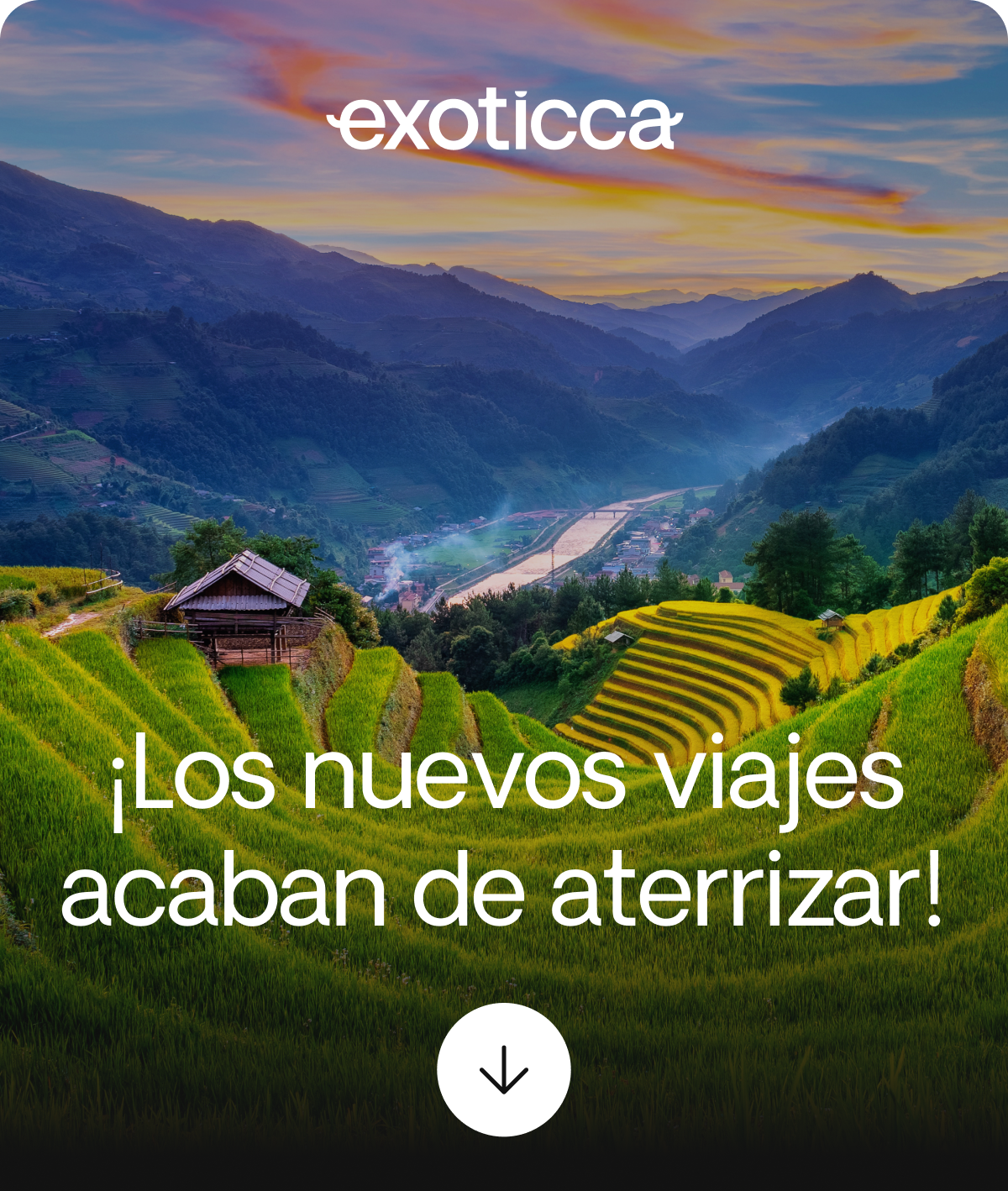Nuevos productos