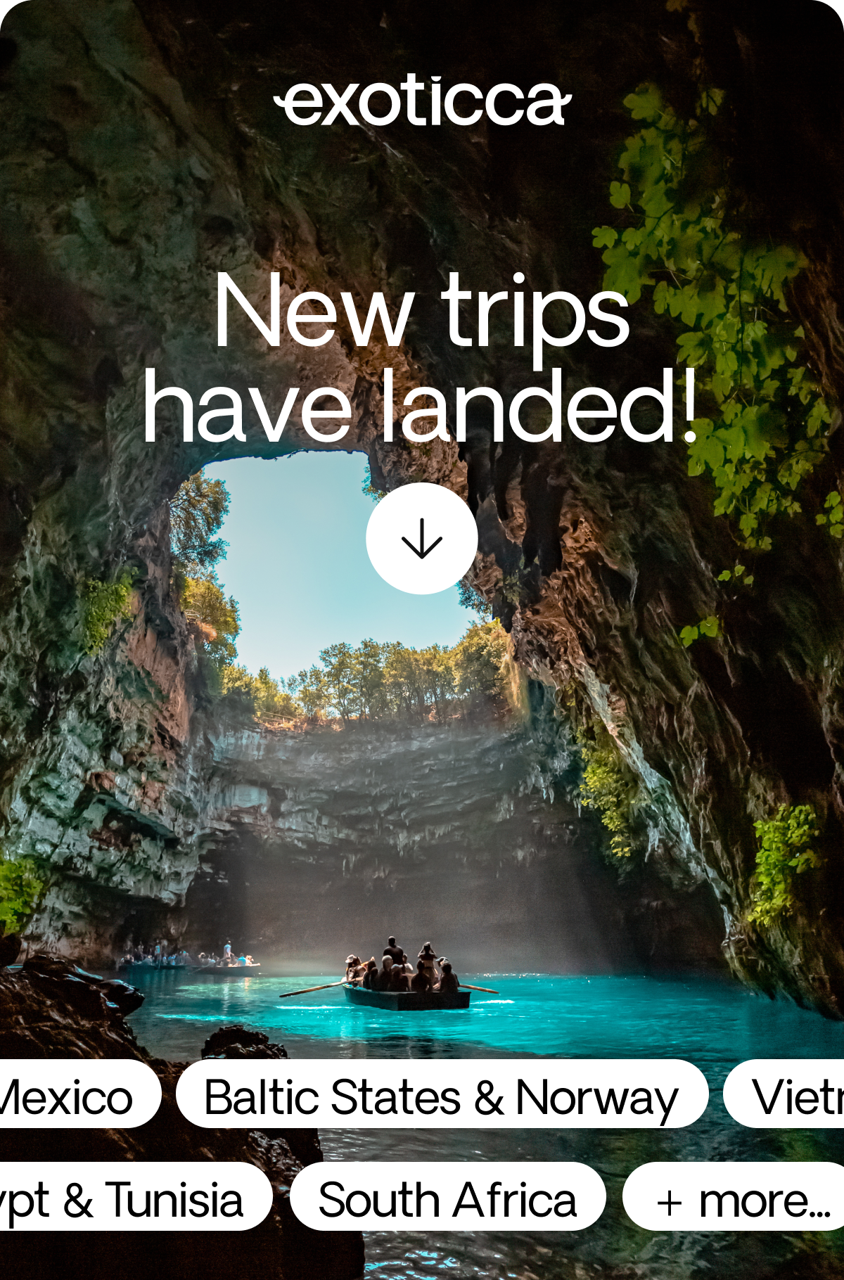 New Trips