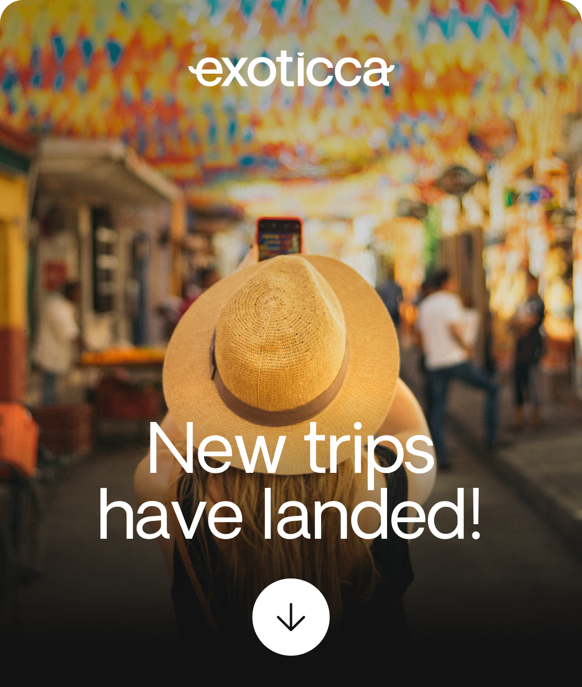 New Trips