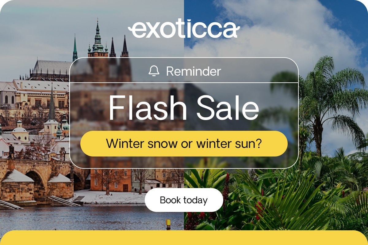 Flash Sale