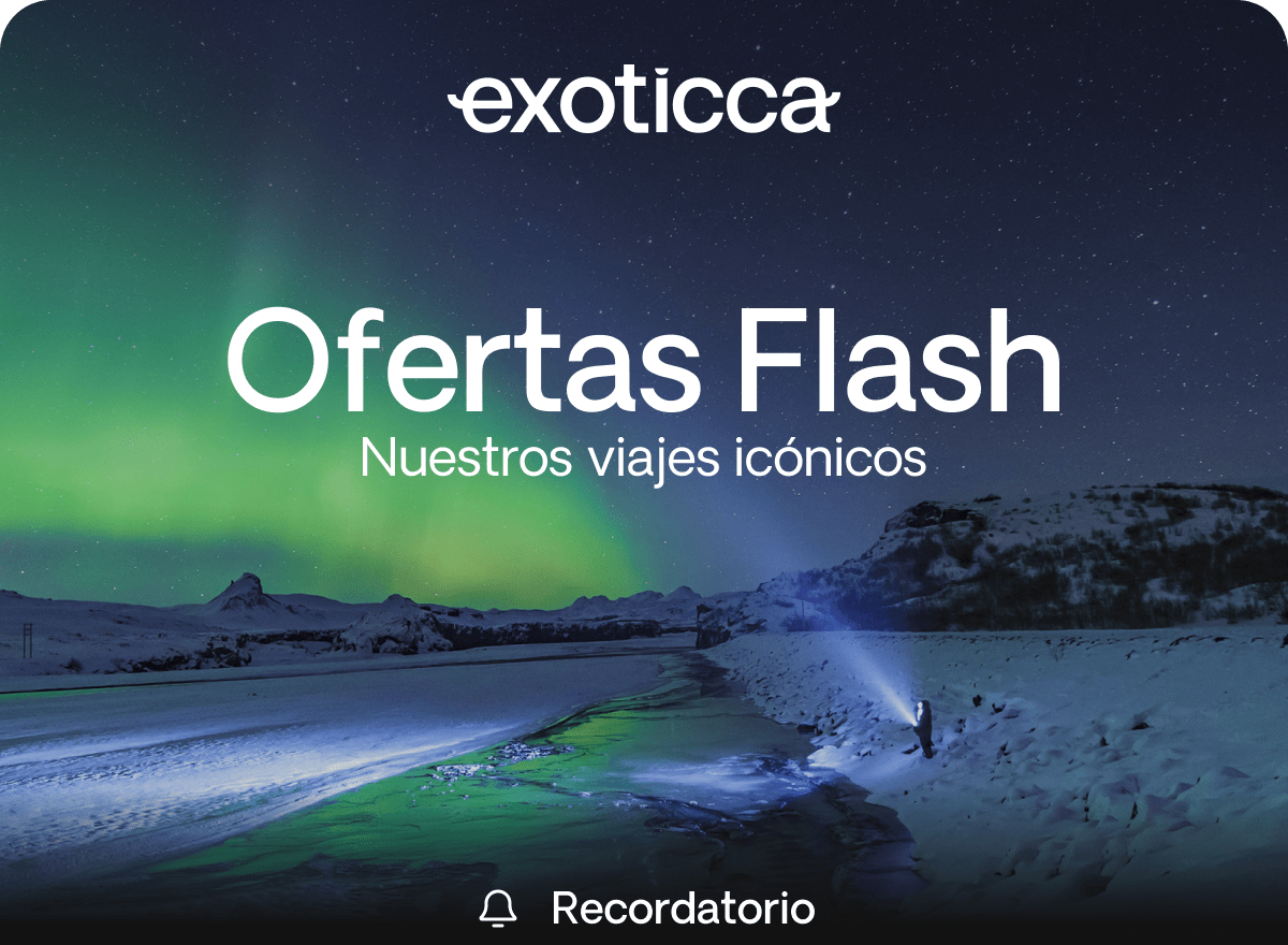 Flash Sale