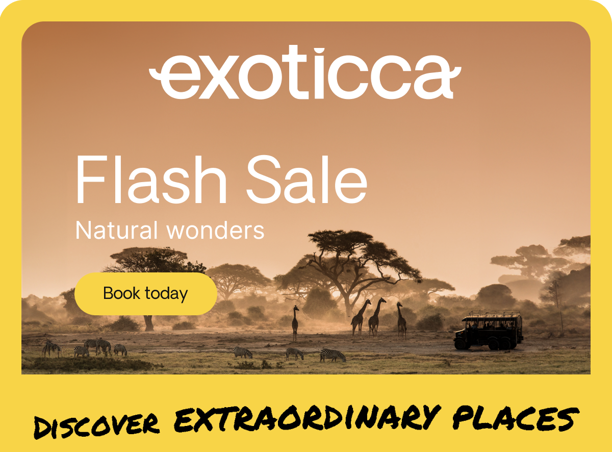 FLASH SALE