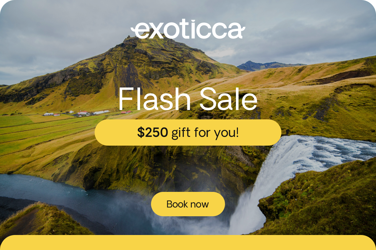 Flash Sale