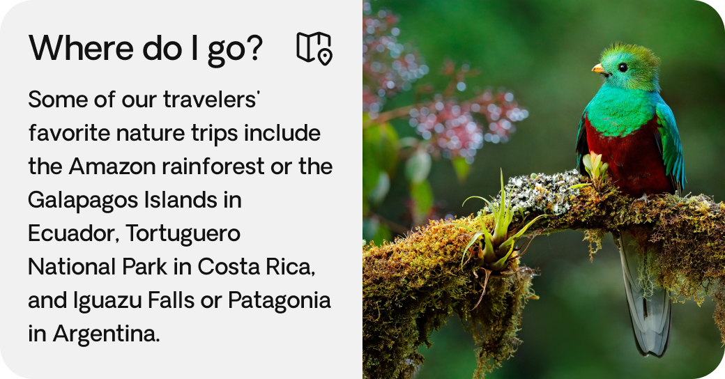 Nature trips