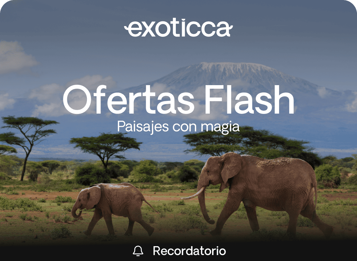 Flash Sale