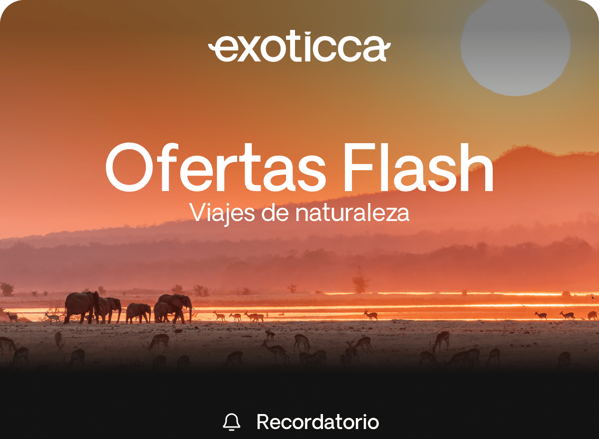 Flash Sale