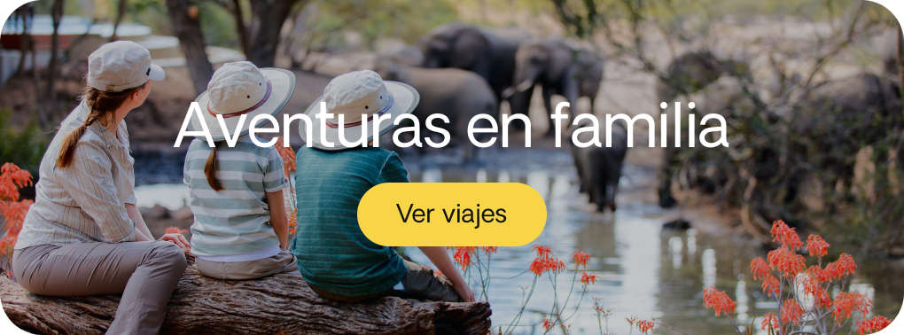 Viaja como quieras