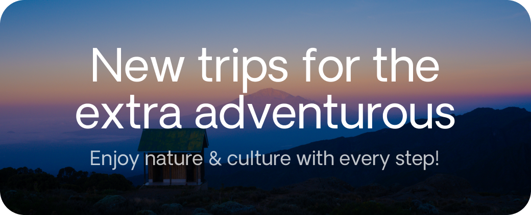 New Trips
