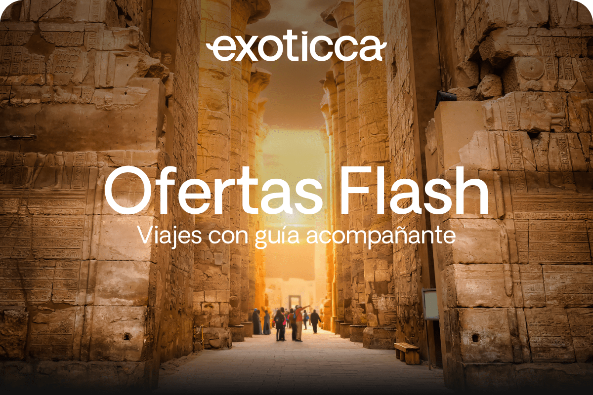 Flash Sale